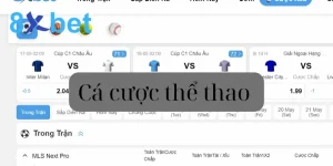 Cá cược thể thao 8Xbet - Hướng dẫn tham gia thắng lớn 1 Cá cược thể thao