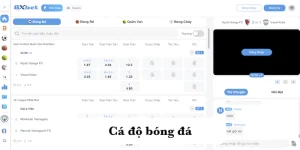 Cá độ bóng đá 8xbet - Sảnh cược thể thao hàng đầu châu Á 8 Cá độ bóng đá