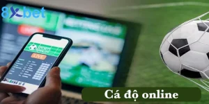 Cá độ online - Các thể loại kèo cá độ hấp dẫn tại 8xbet 6 Cá độ online