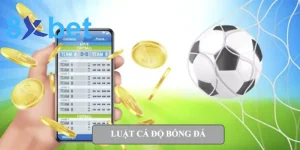 Từ A-Z về luật cá độ bóng đá cho bet thủ tại Việt Nam 3 luật cá độ bóng đá