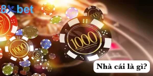 Nhà cái là gì? Giới thiệu về thế giới cá cược trực tuyến 10 Nhà cái là gì