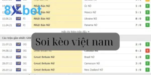 Soi kèo việt nam là gì? -  Những điều cần biết khi bắt kèo VN 7 Soi kèo việt nam