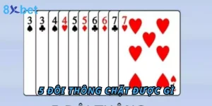 5 Đôi Thông Chặt Được Gì? Bật Mí Kinh Nghiệm Thắng Lớn 9 5 Đôi Thông Chặt Được Gì